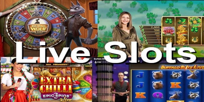 Tổng quan về live slot game cho người mới